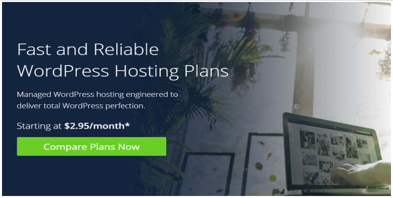 bluehost hosting