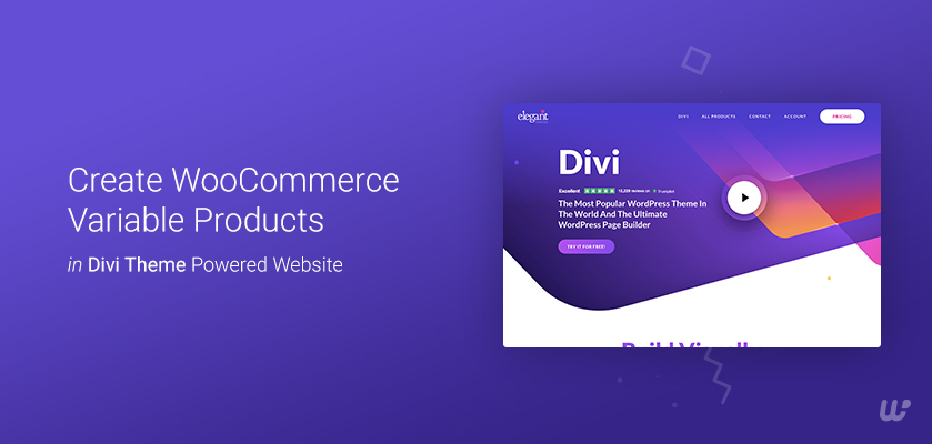 Variable Products in Divi Theme