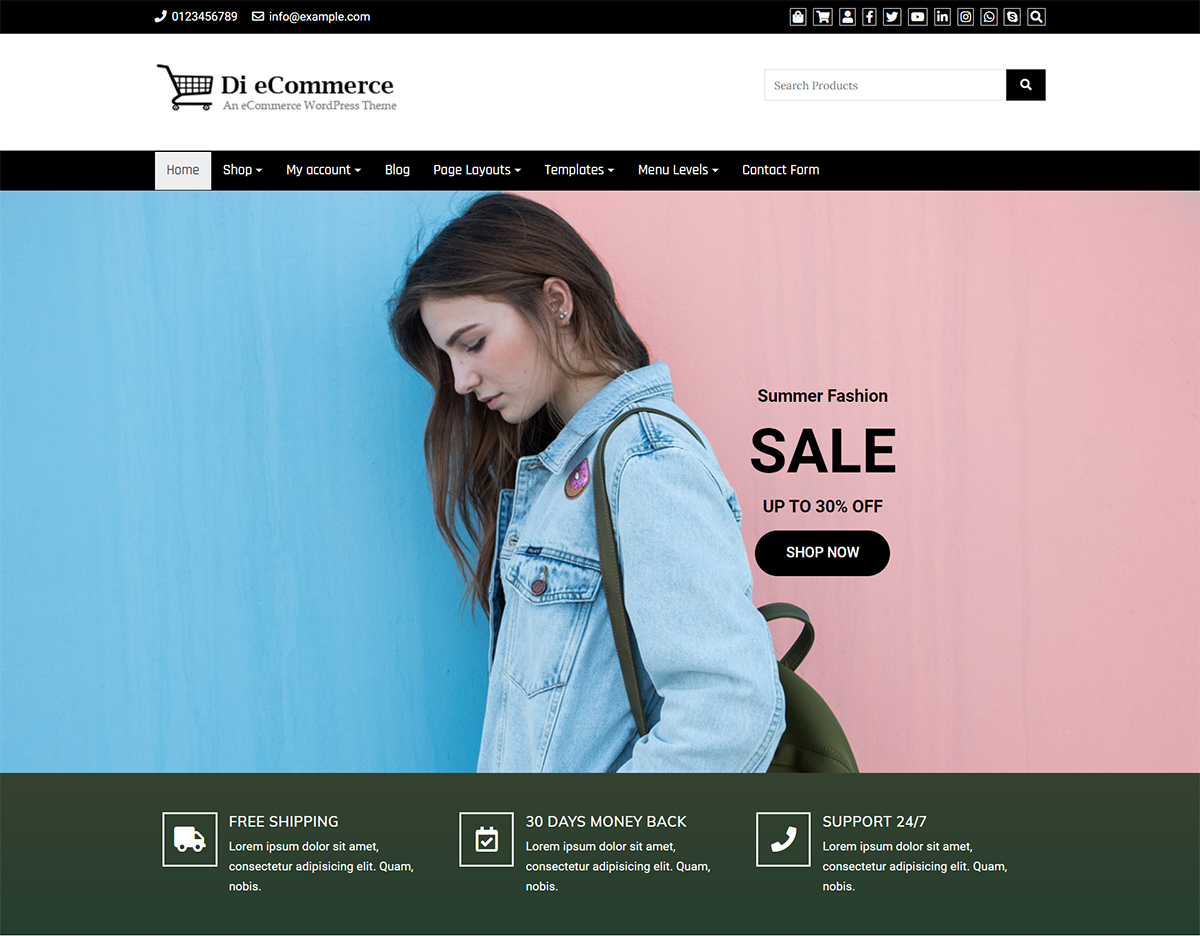 di ecommerce free wp theme