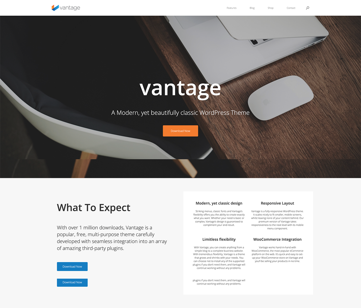 vantage simple wordpress theme