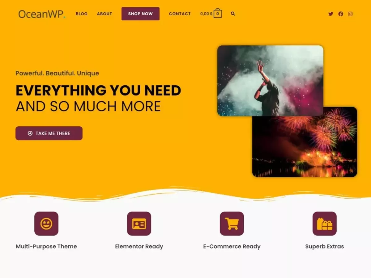 woo commerce theme