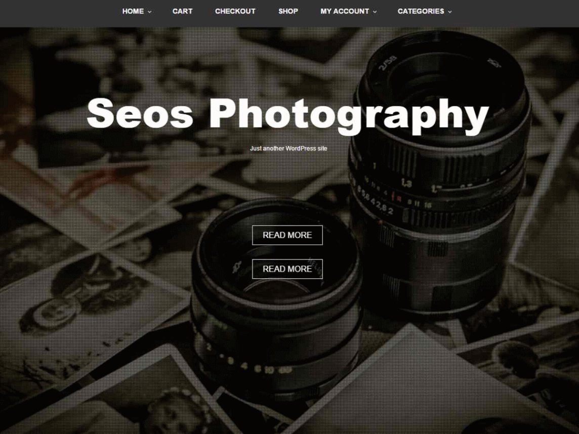 seos photography wordpress free theme 