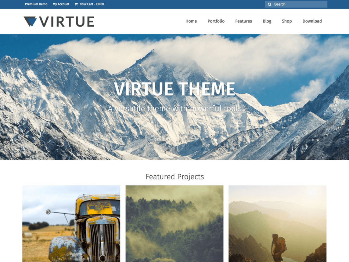 virture wordpress woocommerce free online store