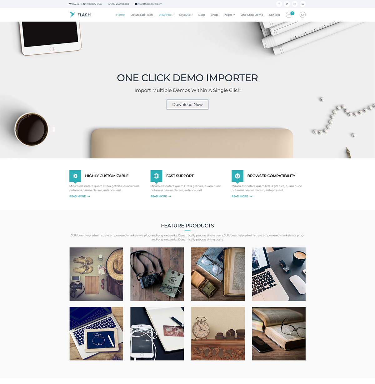 flash most popular wordpress theme