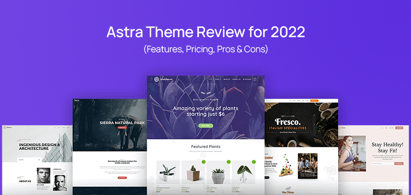Astra theme reviews