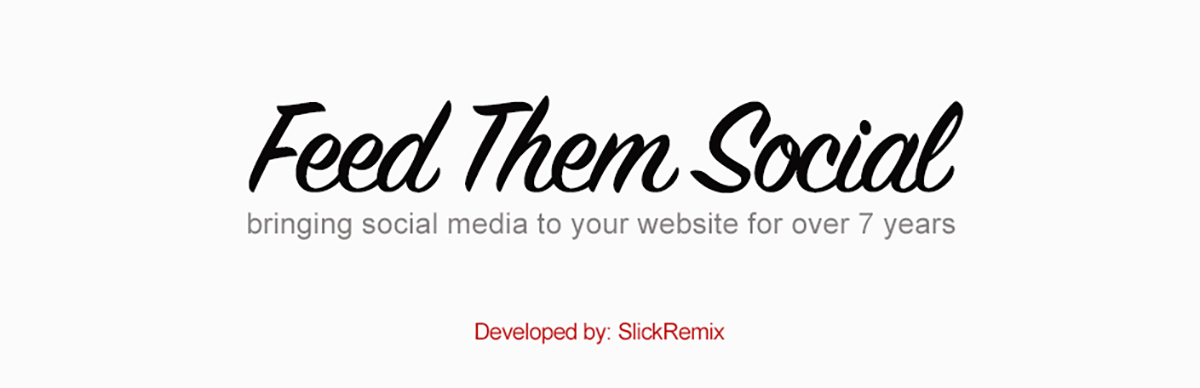 feed theme social WordPress social media plugin