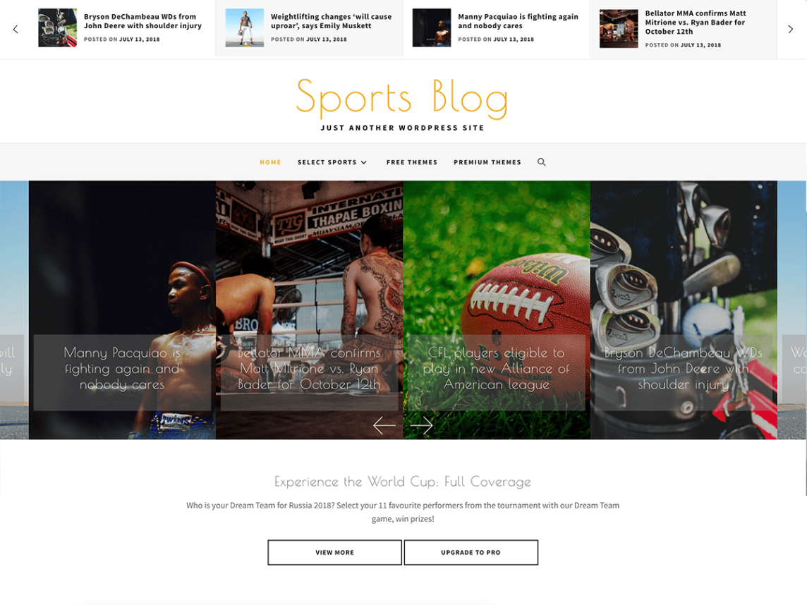 sports blog free wp theme woocommerce