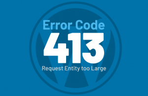 413 Request Entity Too large Error
