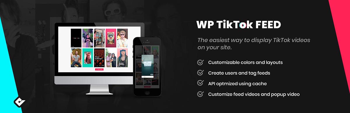 wp tiktok feed WordPress social media plugin