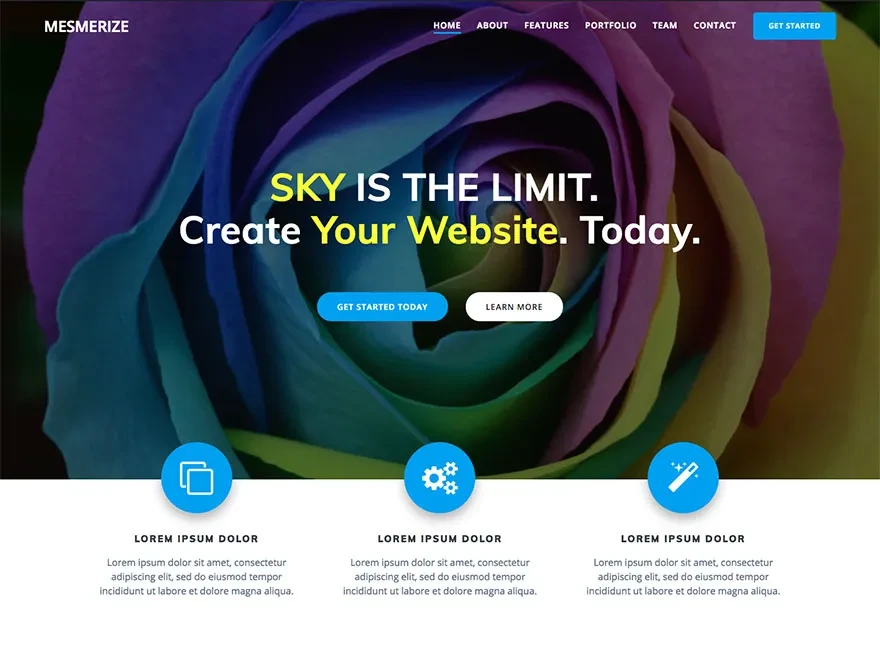 Mesmerize WordPress business theme