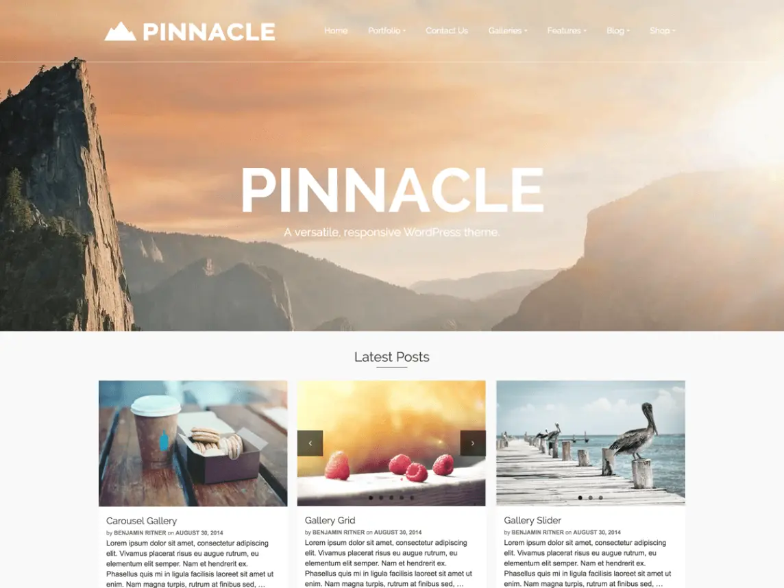 Pinnacle WordPress business theme