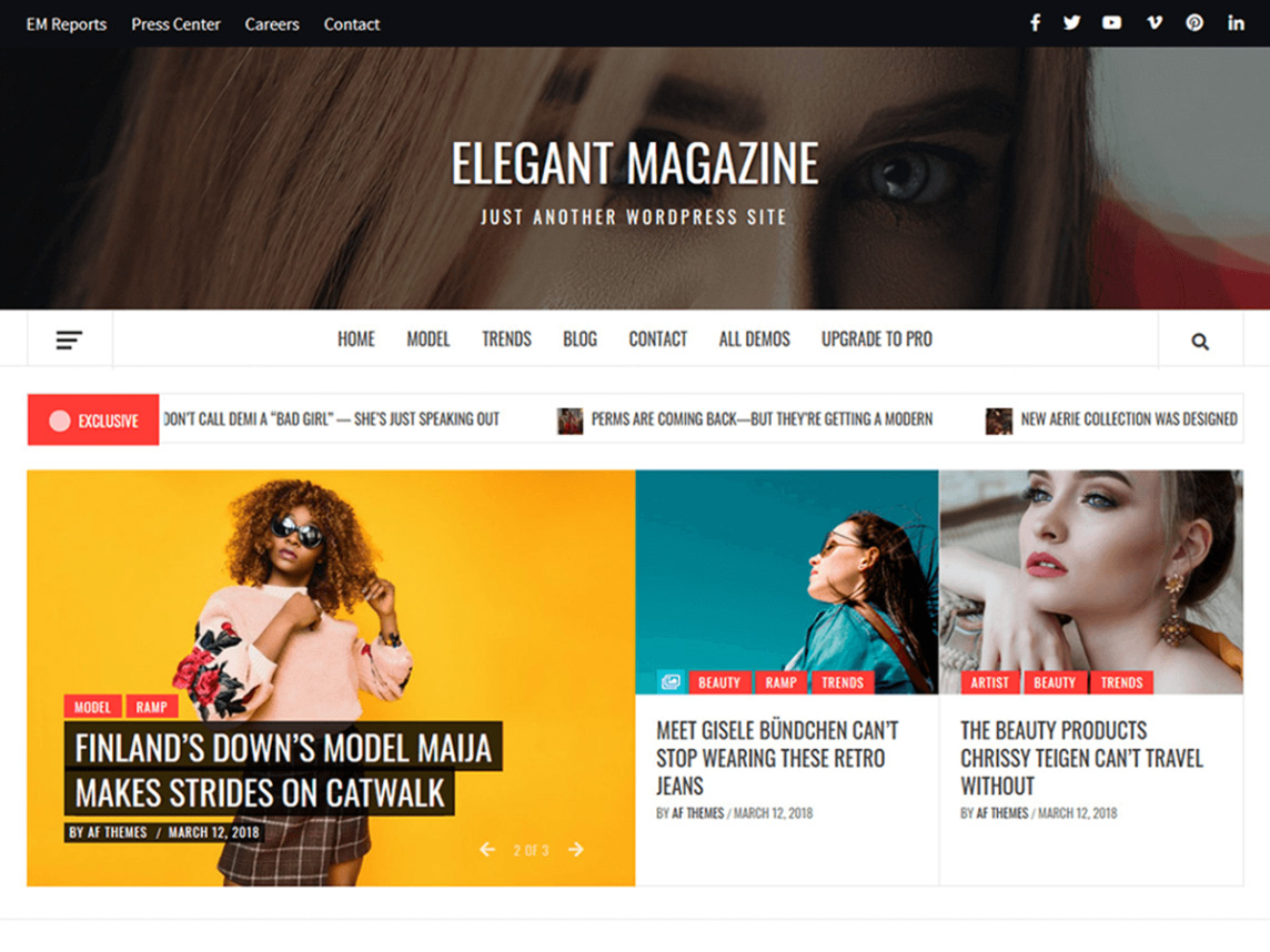 Elegant Magazine Adsense-optimized WordPress theme