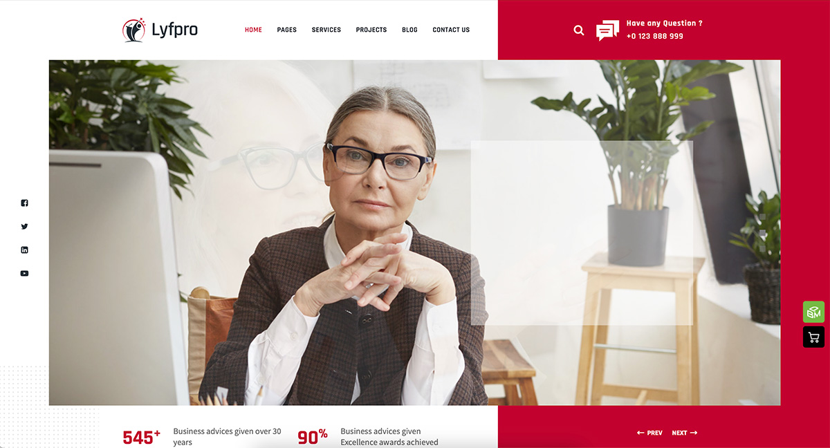 Lyfpro WordPress life coach theme