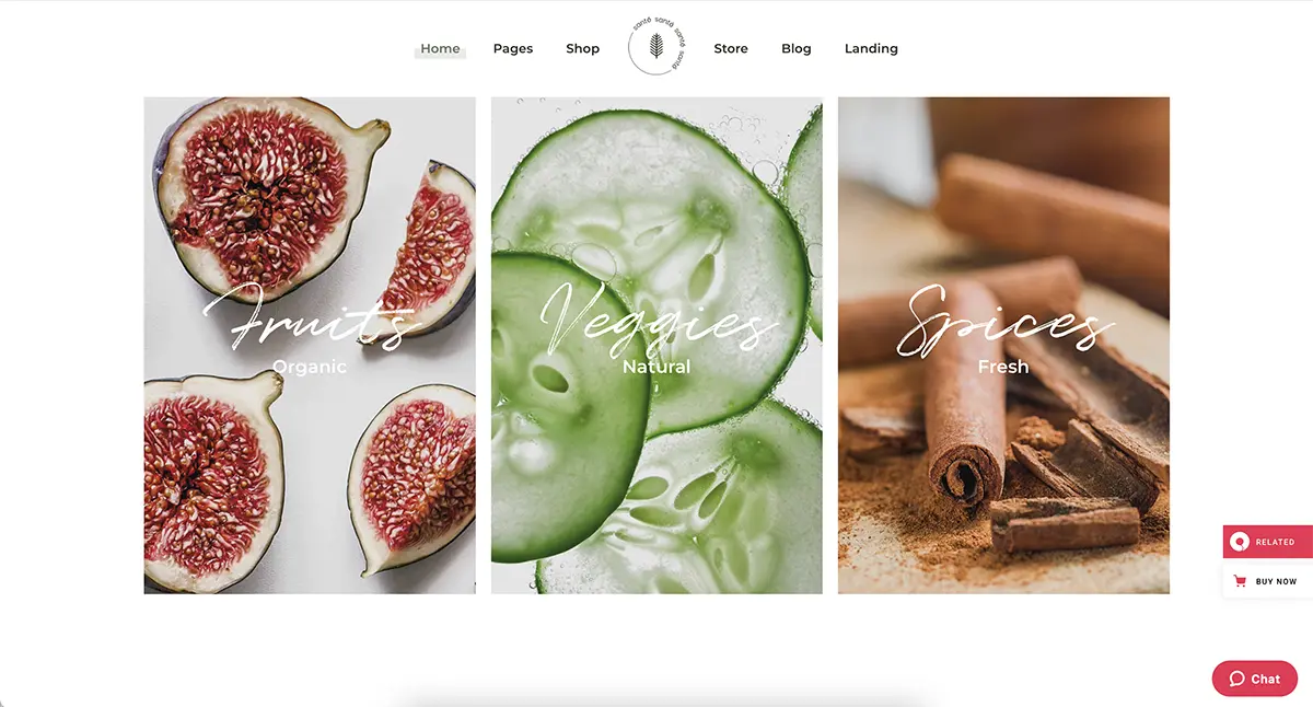 Santé tea shop WordPress theme