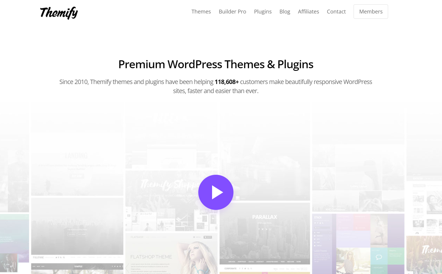 WordPress theme marketplace